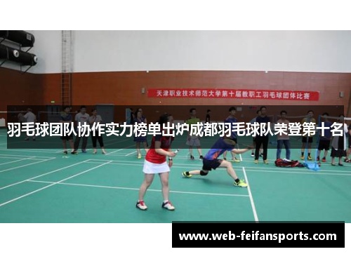 羽毛球团队协作实力榜单出炉成都羽毛球队荣登第十名