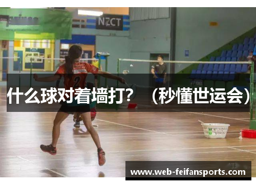什么球对着墙打？（秒懂世运会）